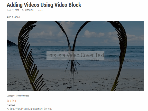 Preview WordPress video background