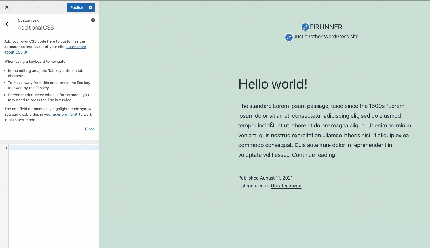 how to change font size in wordpress using css
