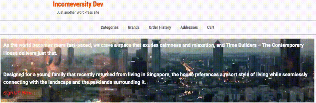 WordPress background video preview