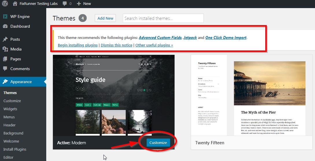 customize theme options