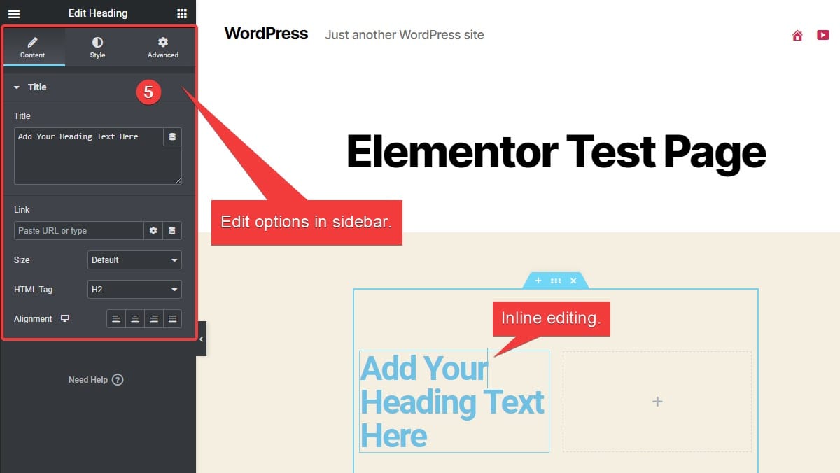 Elementor Advanced Options