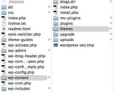 wp-content