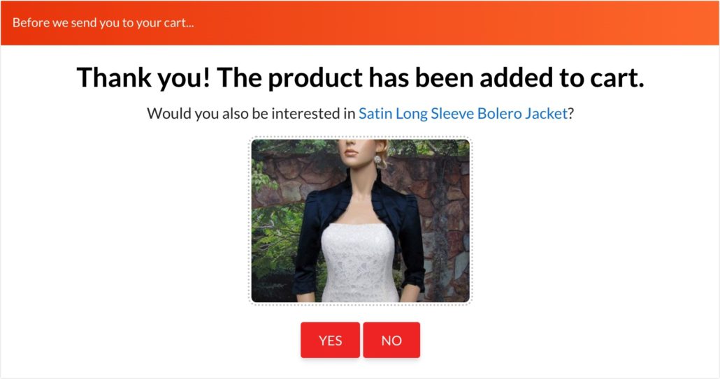 Popup showing alternative product