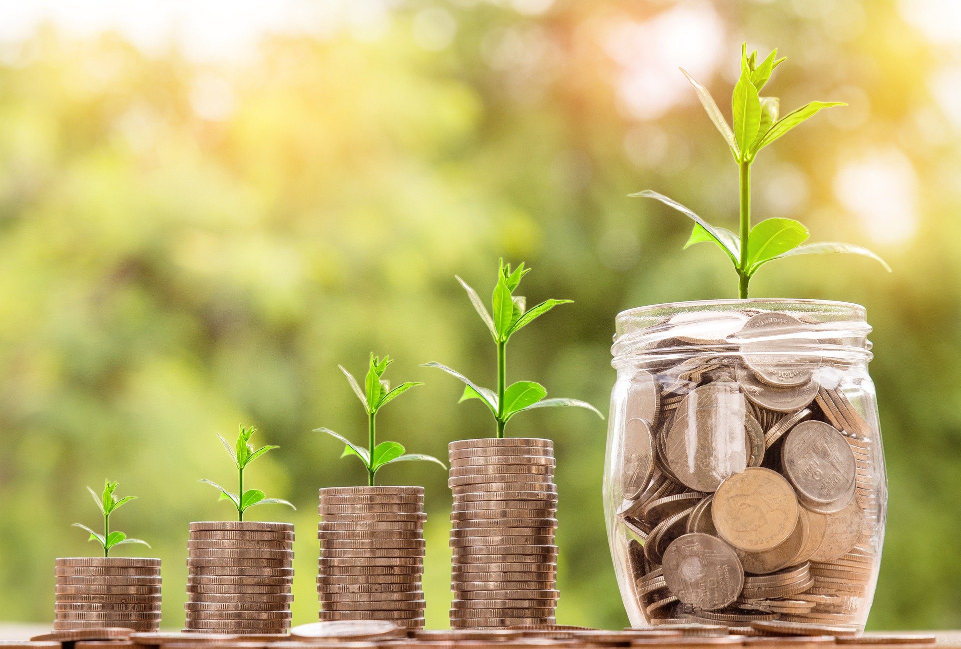 how to grow your business with wordpress