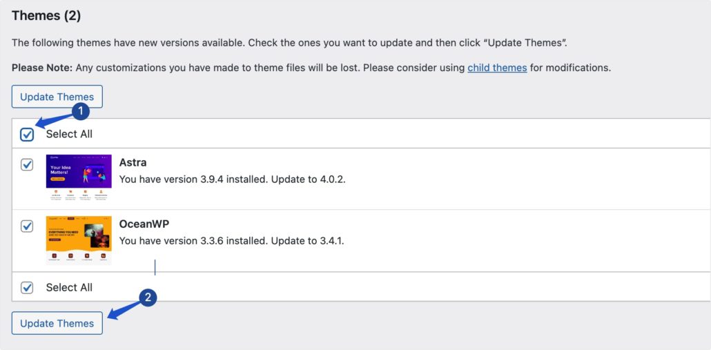 Update WordPress themes
