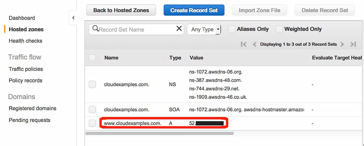 Page showing domain name and static IP