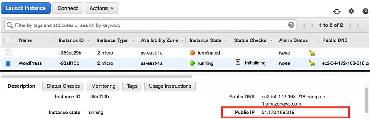 Page showing public IP of AWS instance