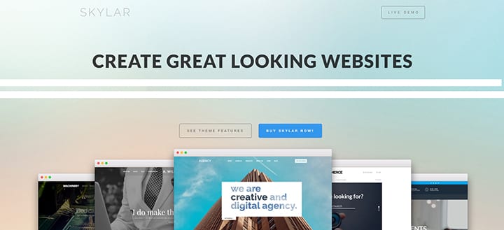 Skylar speed optimized theme