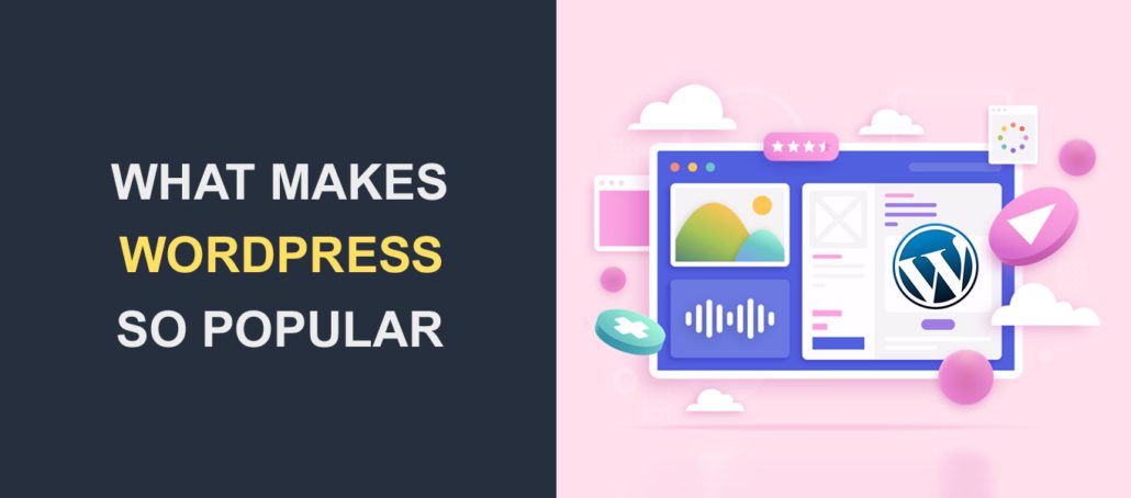 Why WordPress What Makes This Platform Popular 