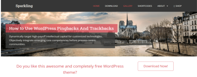 Sparkling Portfolio theme - free WordPress portfolio themes