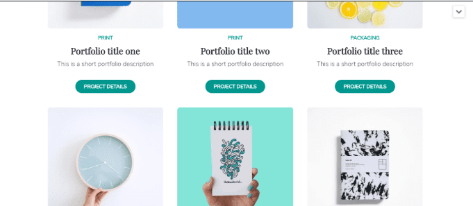 Neve Portfolio section