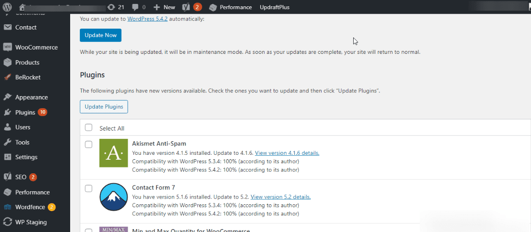 Update WP core, plugins, themes