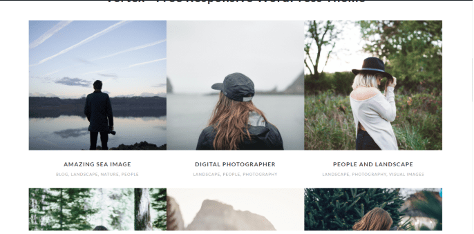Vertex portfolio section