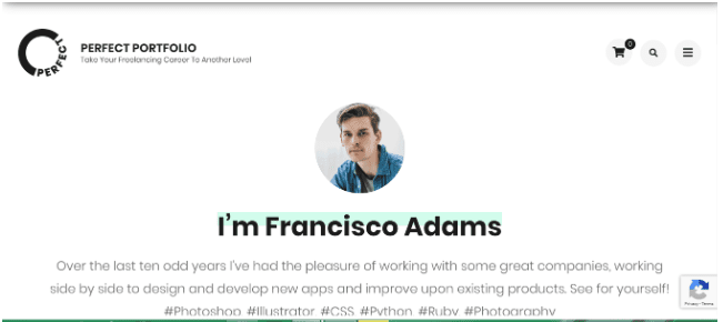 Perfect Portfolio WordPress theme