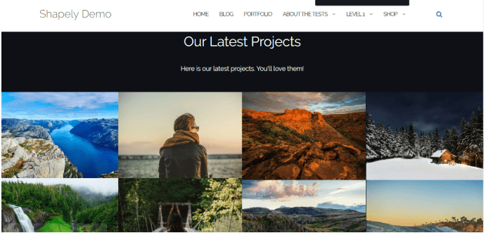Shapely Portfolio section