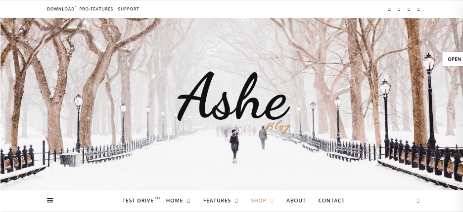 Ashe WordPress theme