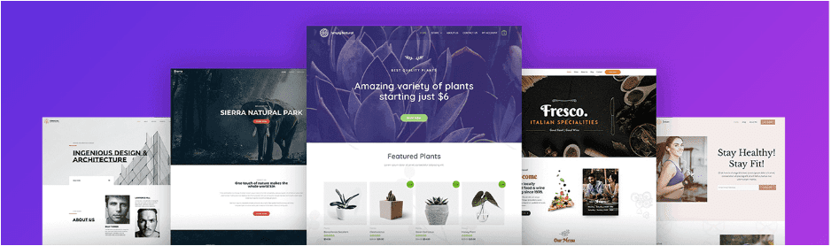 Astra WP theme