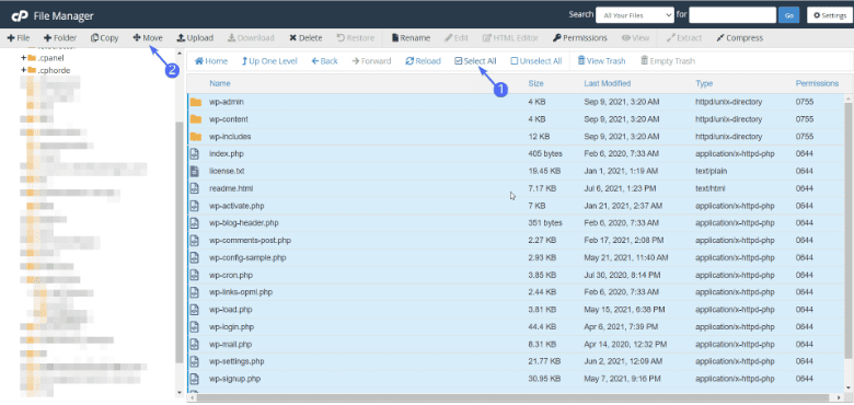 move wordpress File