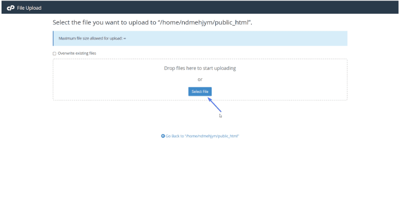 upload wordpress 
