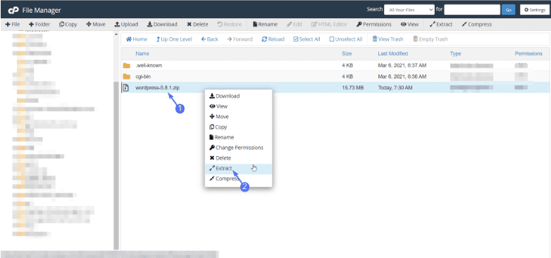 Extract wordpress File