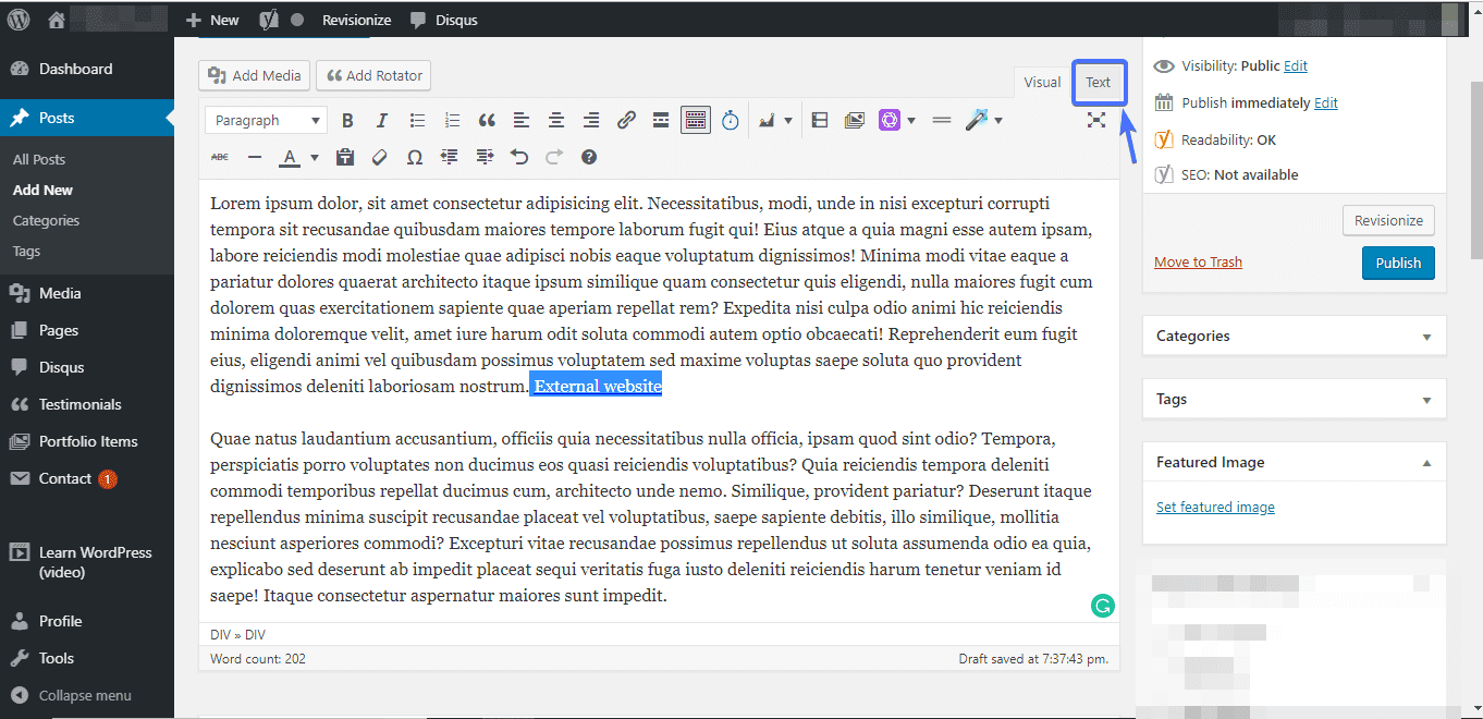 WordPress SEO external