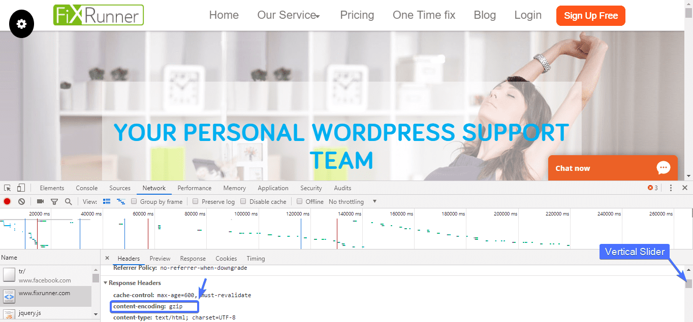 WordPress support team