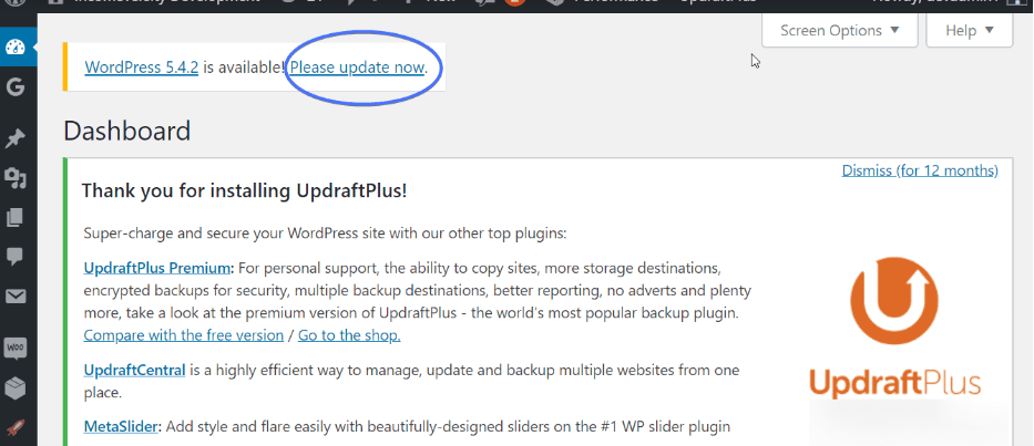 Updating WordPress safely