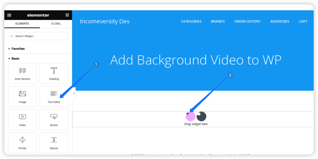 Text editor widget