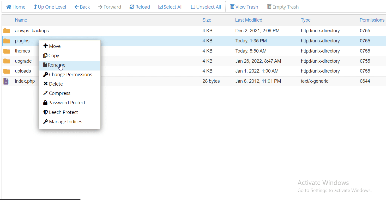 Rename Plugins folder