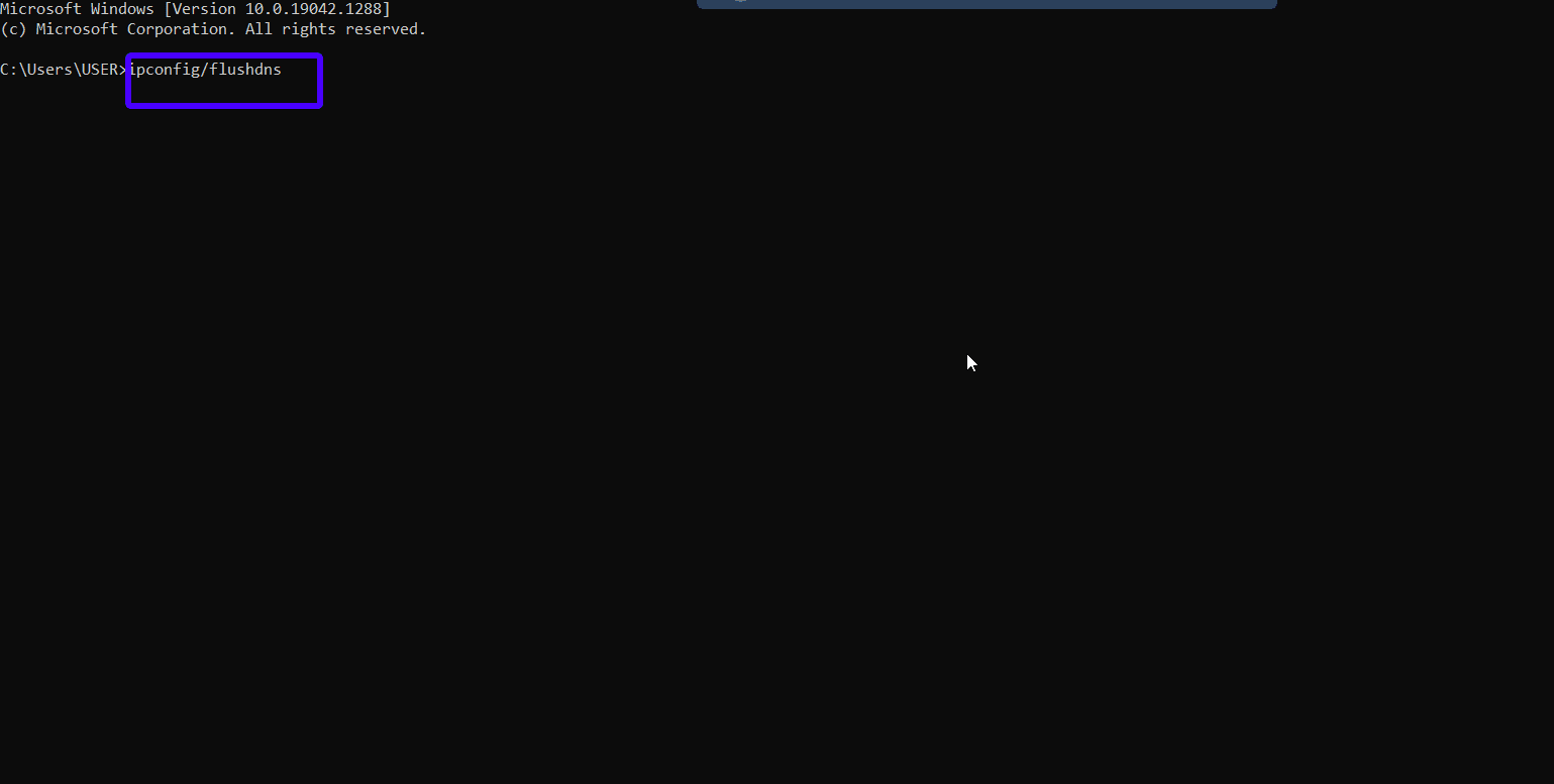 Flush DNS Cache