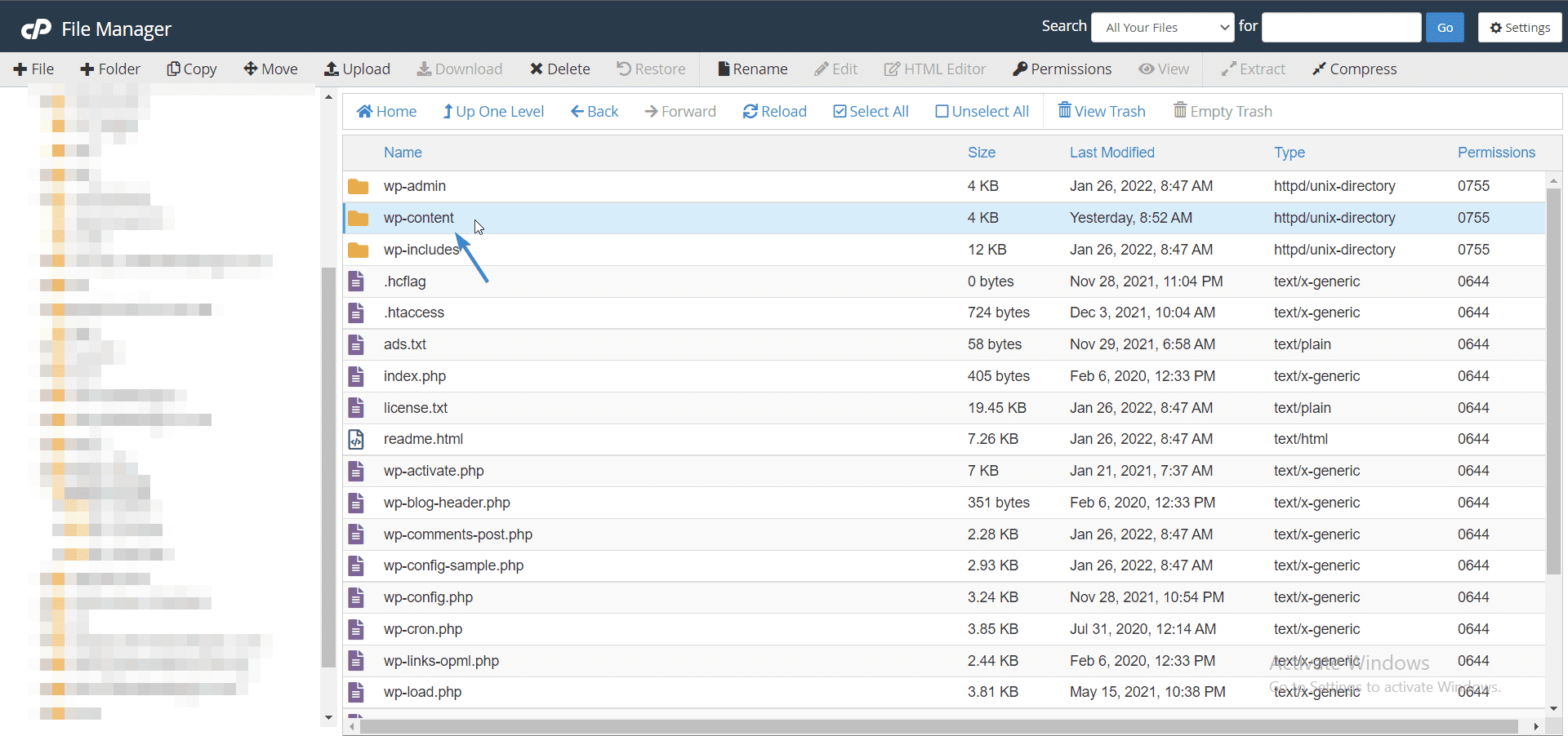 wp-content in cPanel