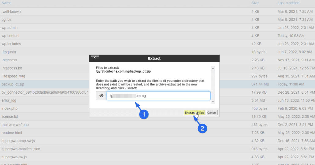 Click the Extract Files button to begin