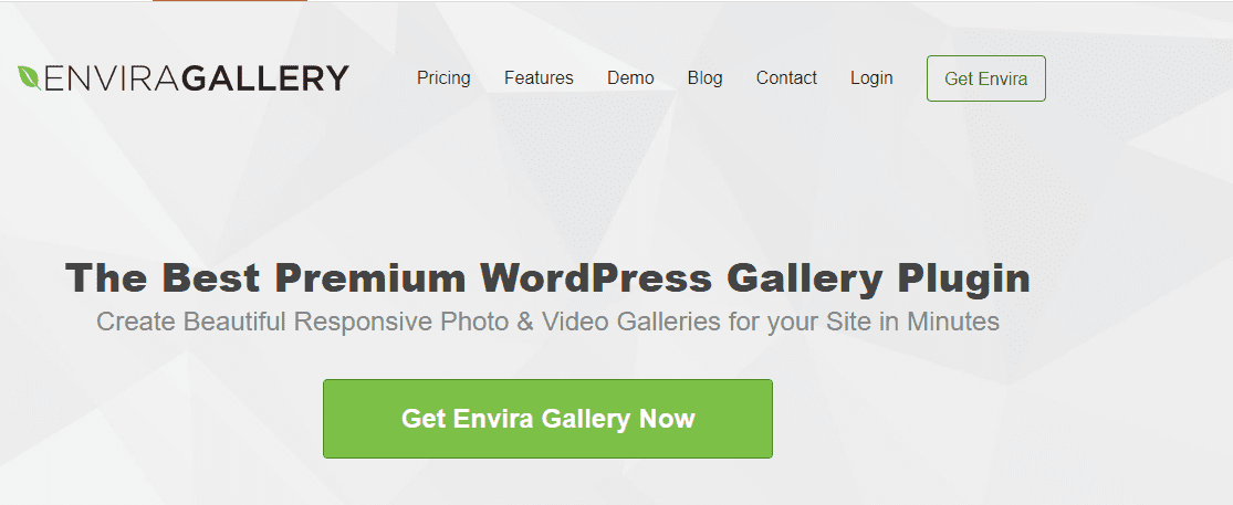 Envira Gallery plugin
