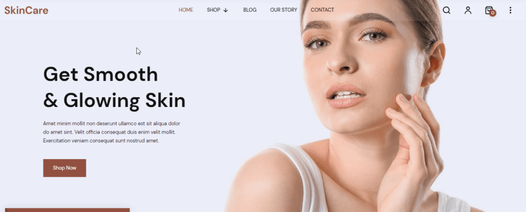 SkinCare Theme