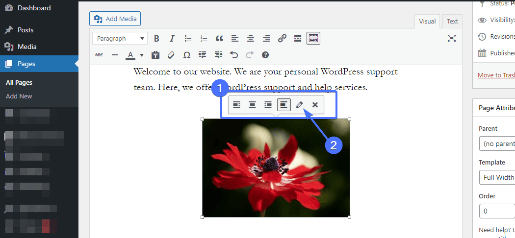 Edit image - change wordpress homepage