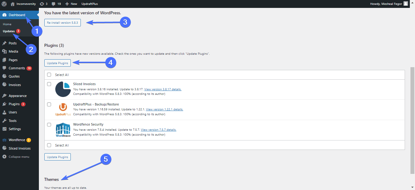 WordPress updates