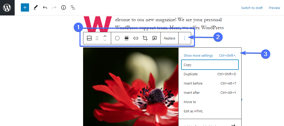 Edit image in block editor
