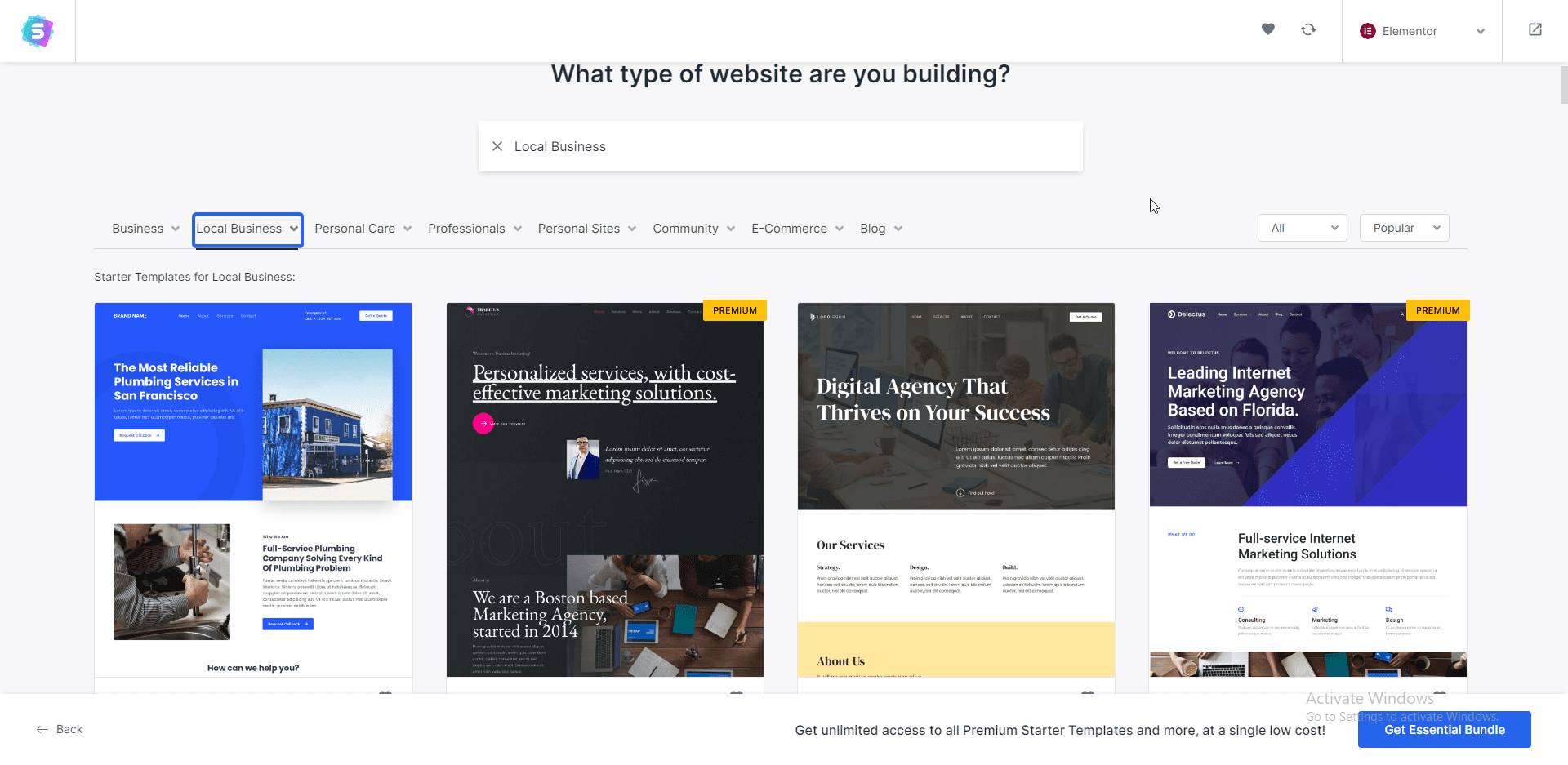 filter to show business website templates