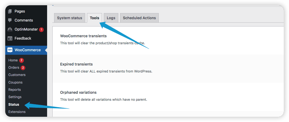 Tools section - wordpress deleted pages