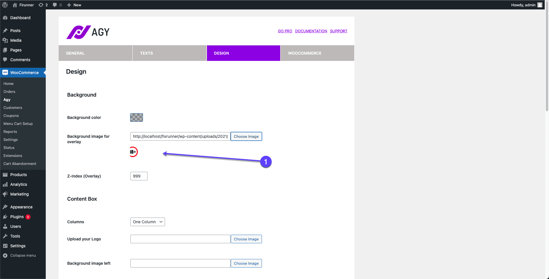 Design Section Agy - Age Verification