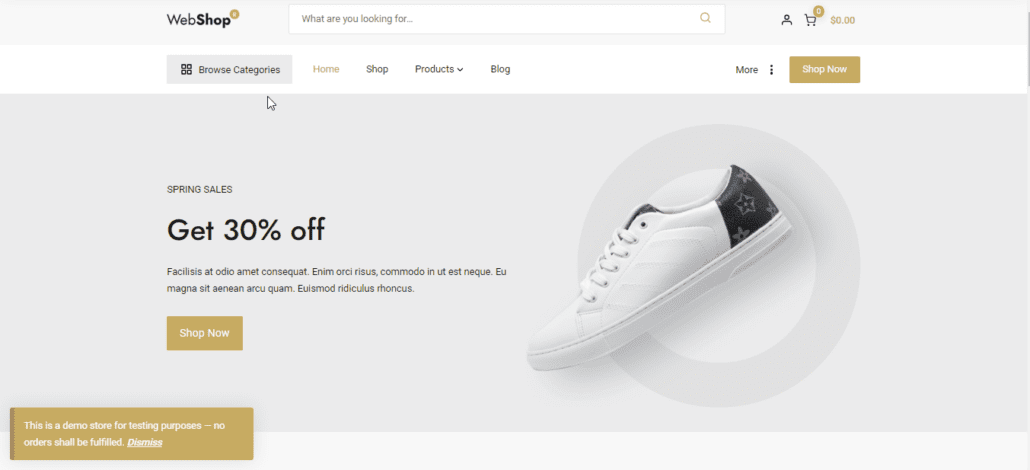 WebShop Theme