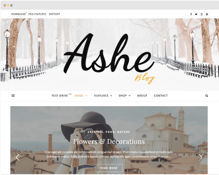 Ashe Free WordPress Theme