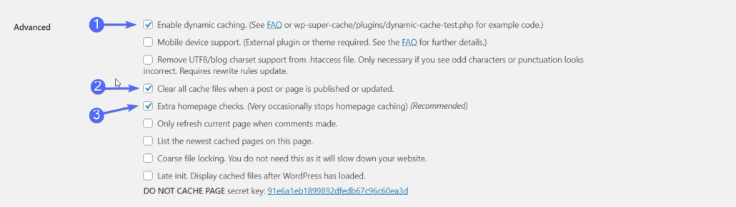 advanced settings: WP super cache
