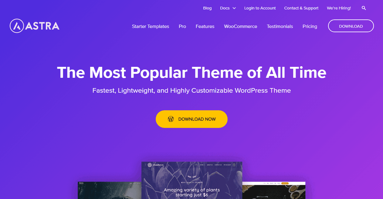 Astra - WordPress theme