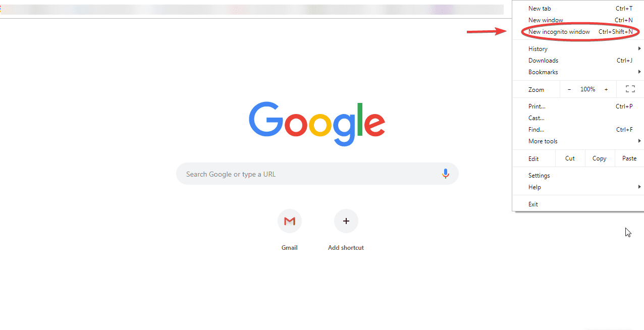 Your Connection Is Not Private - Incognito