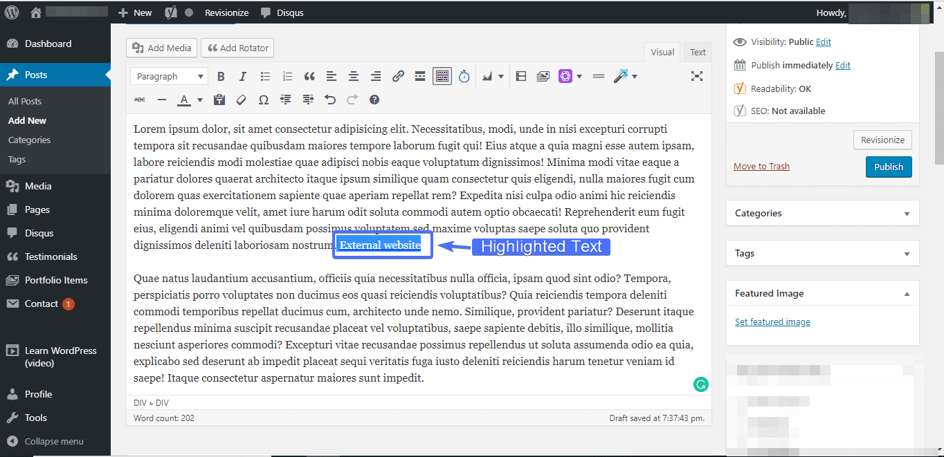 WordPress SEO external