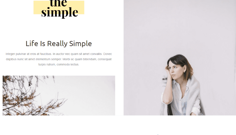 OceanWP wordPress blog theme