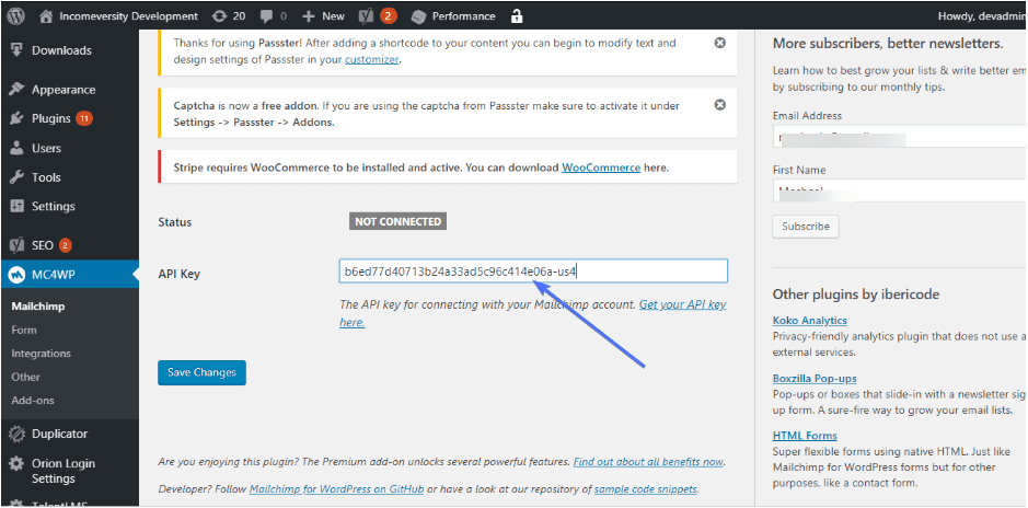 Pasting the API key