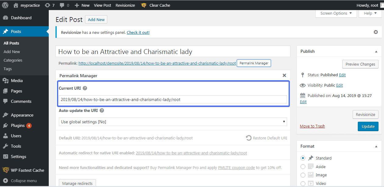 Permalink Manager plugin section