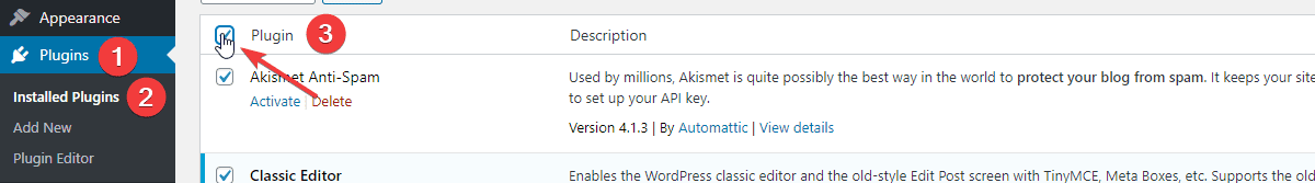 Selecting all plugins - wordpress updating failed